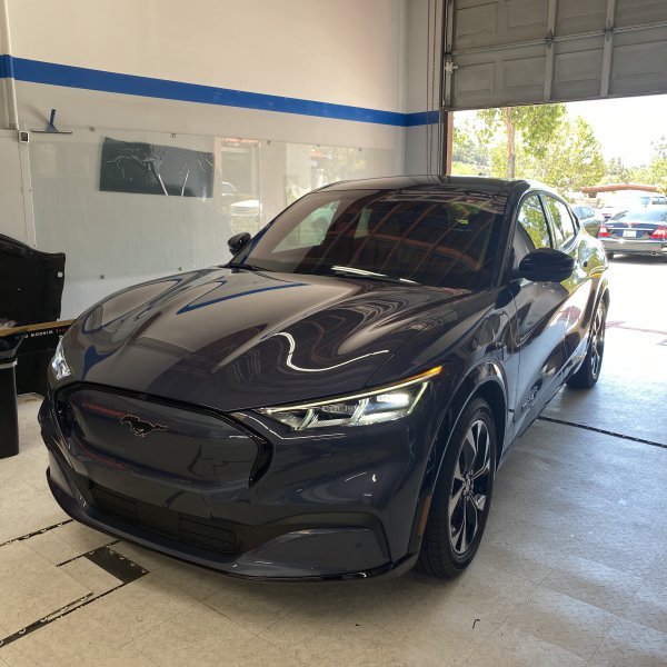 Window Tint